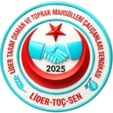 Lider-TOÇ-SEN logosu